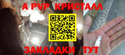 крисы Гай