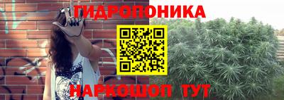 прущие крисы Гагарин