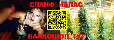 соль ск Гатчина